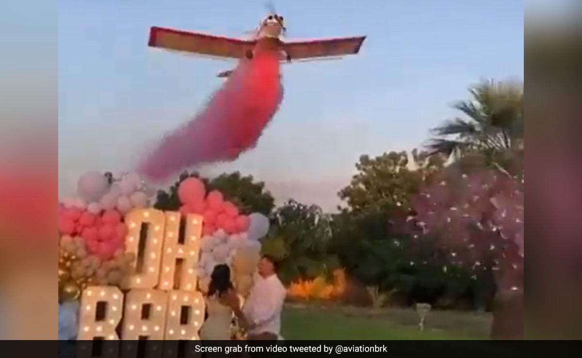 Gender Reveal Party Turns Deadly As Plane Crashes In Front Of Guests In Mexico