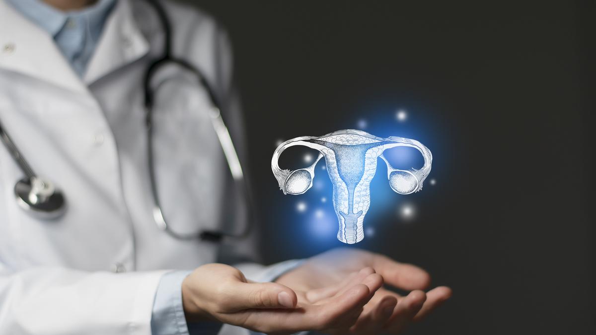 What does it mean to have a uterus transplant? | Explained