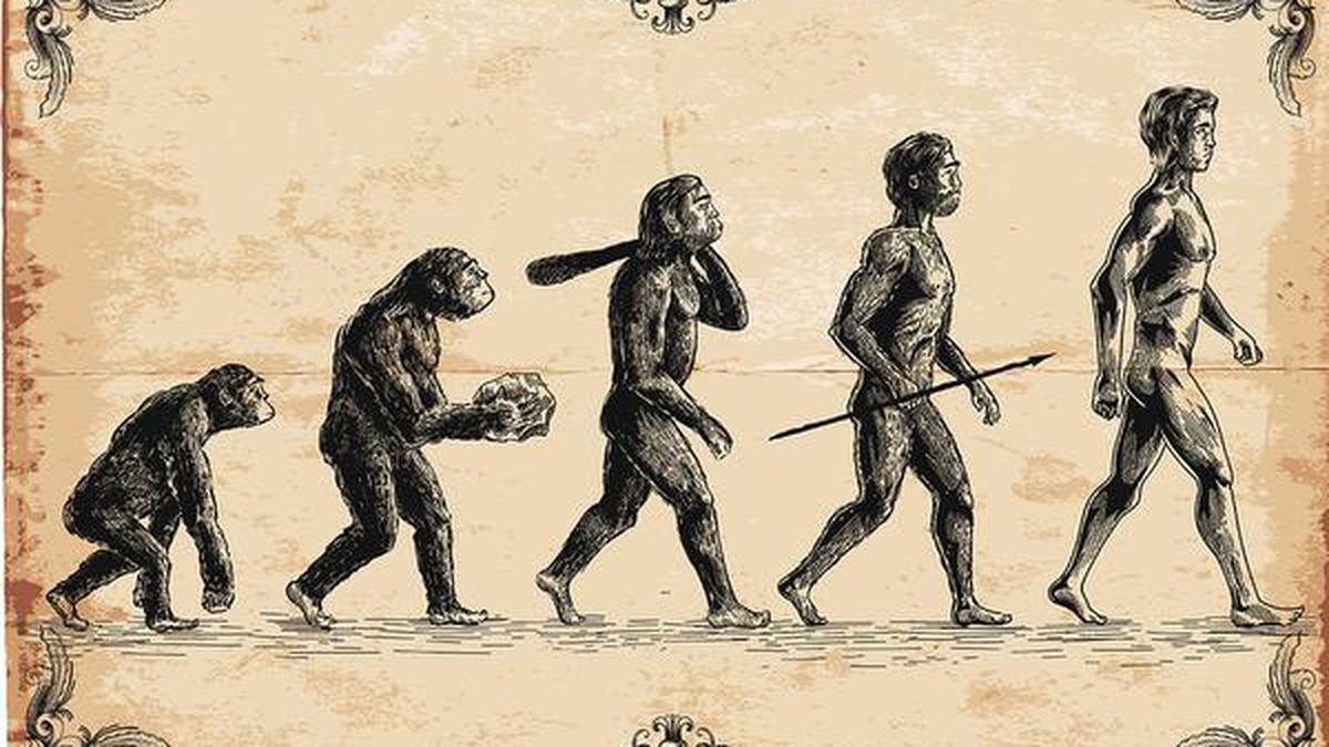 Genomic clues suggest humans’ ancestors nearly went extinct 9L years ago
