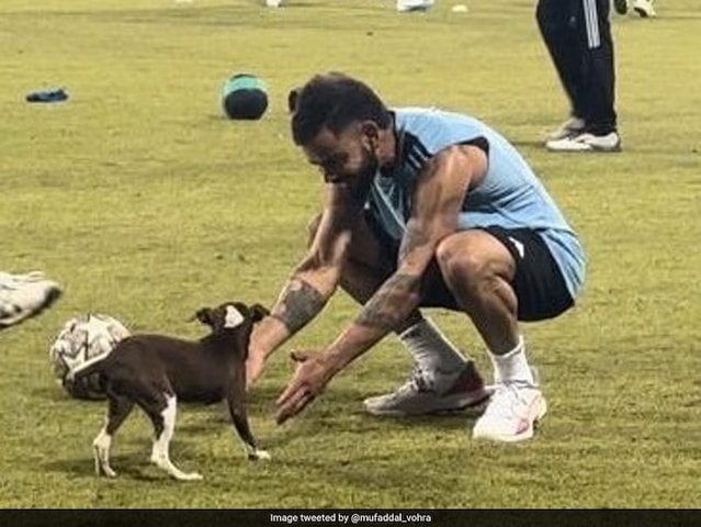 Virat Kohli Plays With Puppy During Asia Cup 2023 Practice – Video Wins Hearts