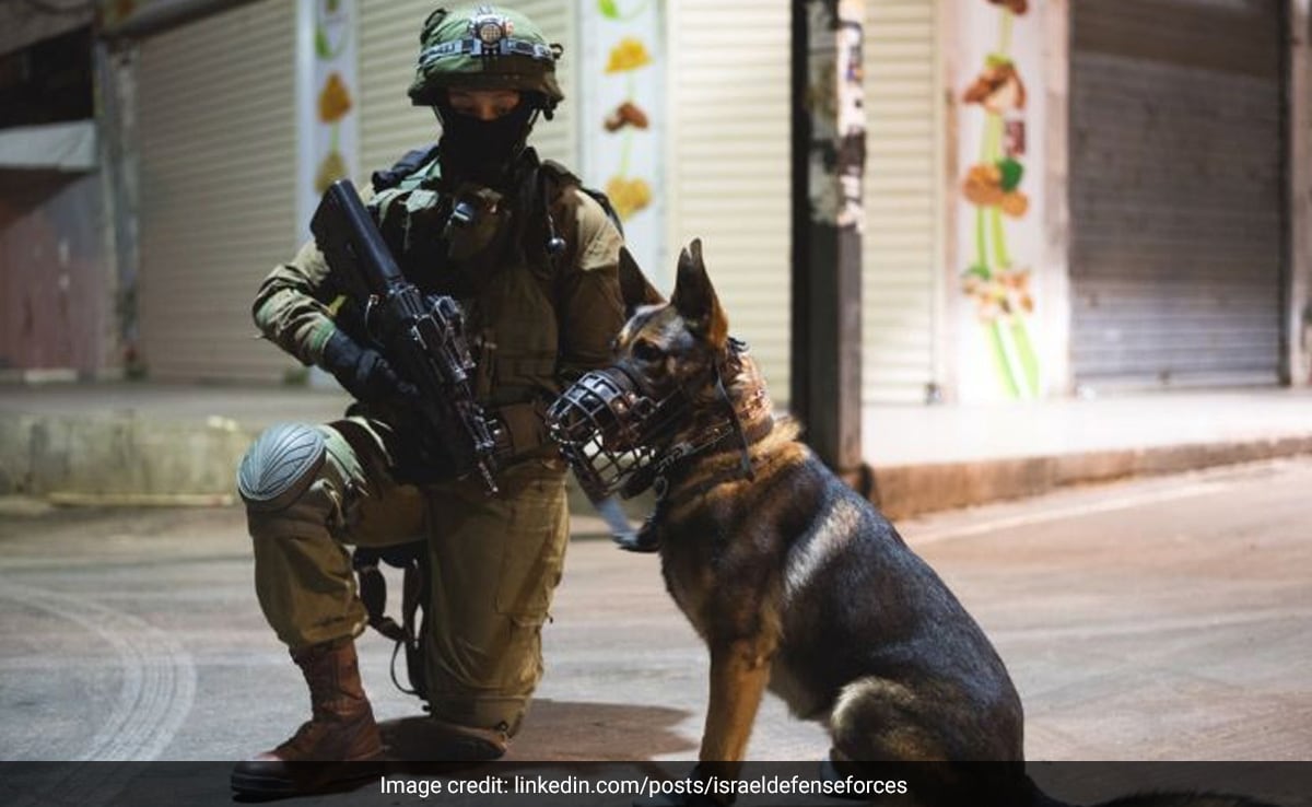 Israel Military’s Canine Unit Rescues 200 People Amid Conflict
