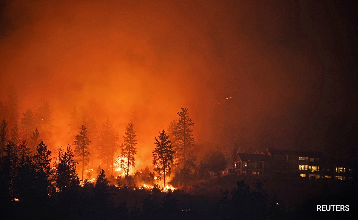 Firefighters Narrate Battle Against Canada Wildfires