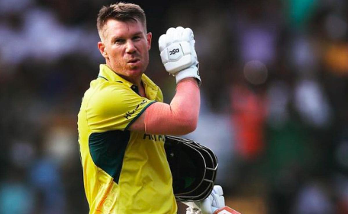David Warner Celebrates In ‘Pushpa’ Style After Cricket World Cup 2023 Ton. Internet Loves It –