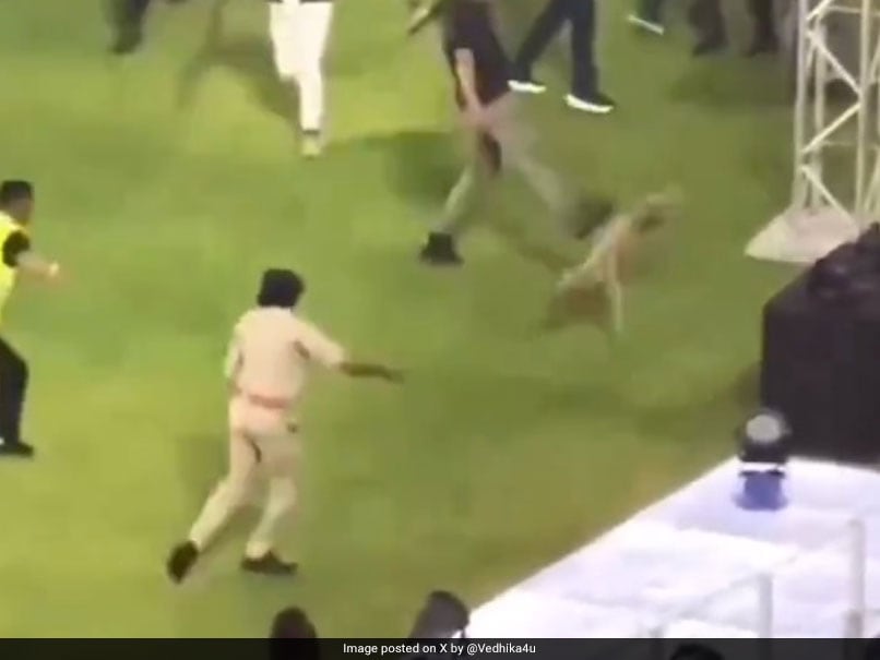 Dog ‘Chased, Kicked, Punched’ During GT vs MI IPL Game, Incident Draws Sharp Criticism From Activists