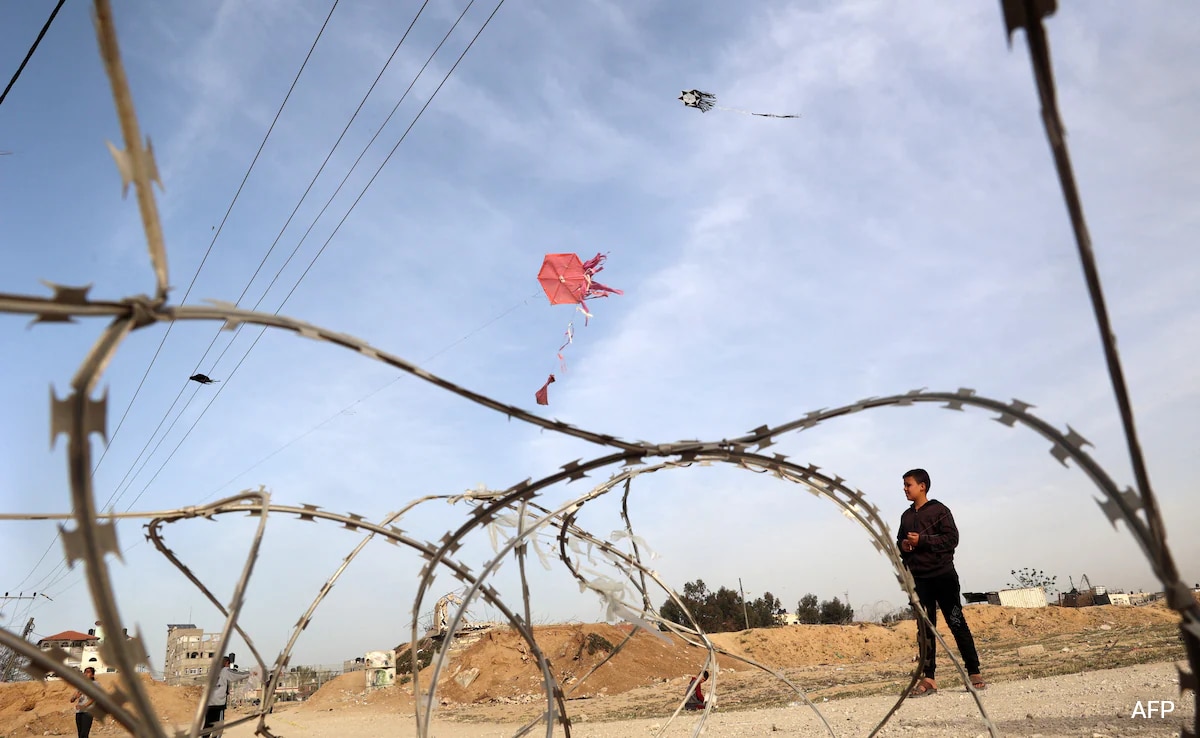 Gaza Children Fly Kites To Escape Horrors Of War