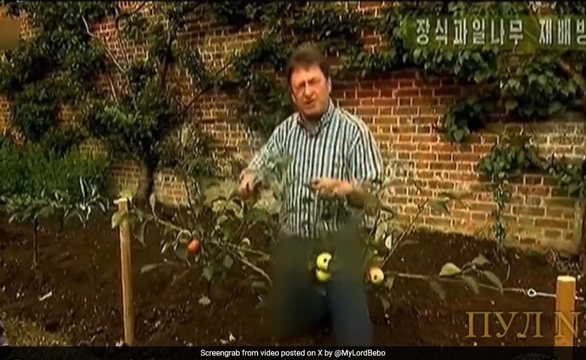 North Korea TV Censors British Gardening Show Presenter’s Trousers