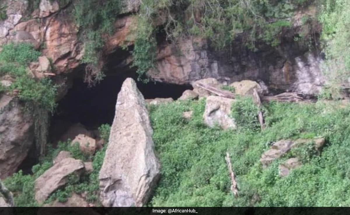 This Kenya Cave, Believed To Be Source Of Ebola, Could Cause Next Pandemic