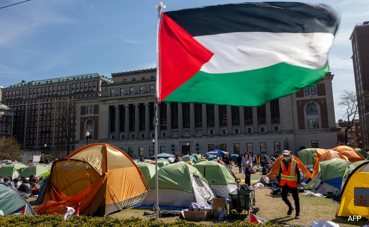 Pro-Palestine Protests Continue In US