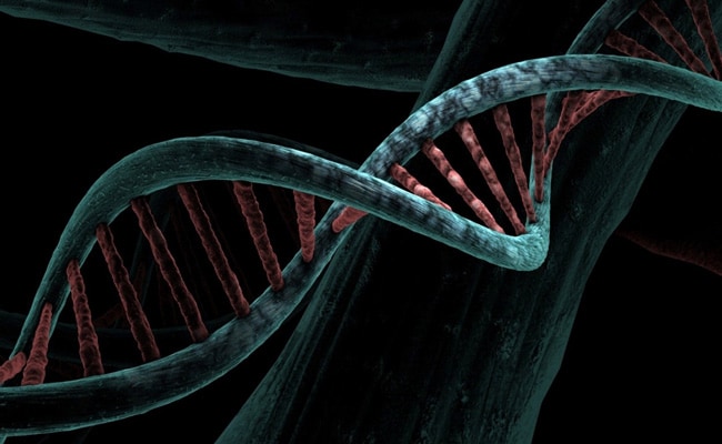 Airborne DNA Can Be Extracted To Be Used For Forensic Analysis, Study Finds