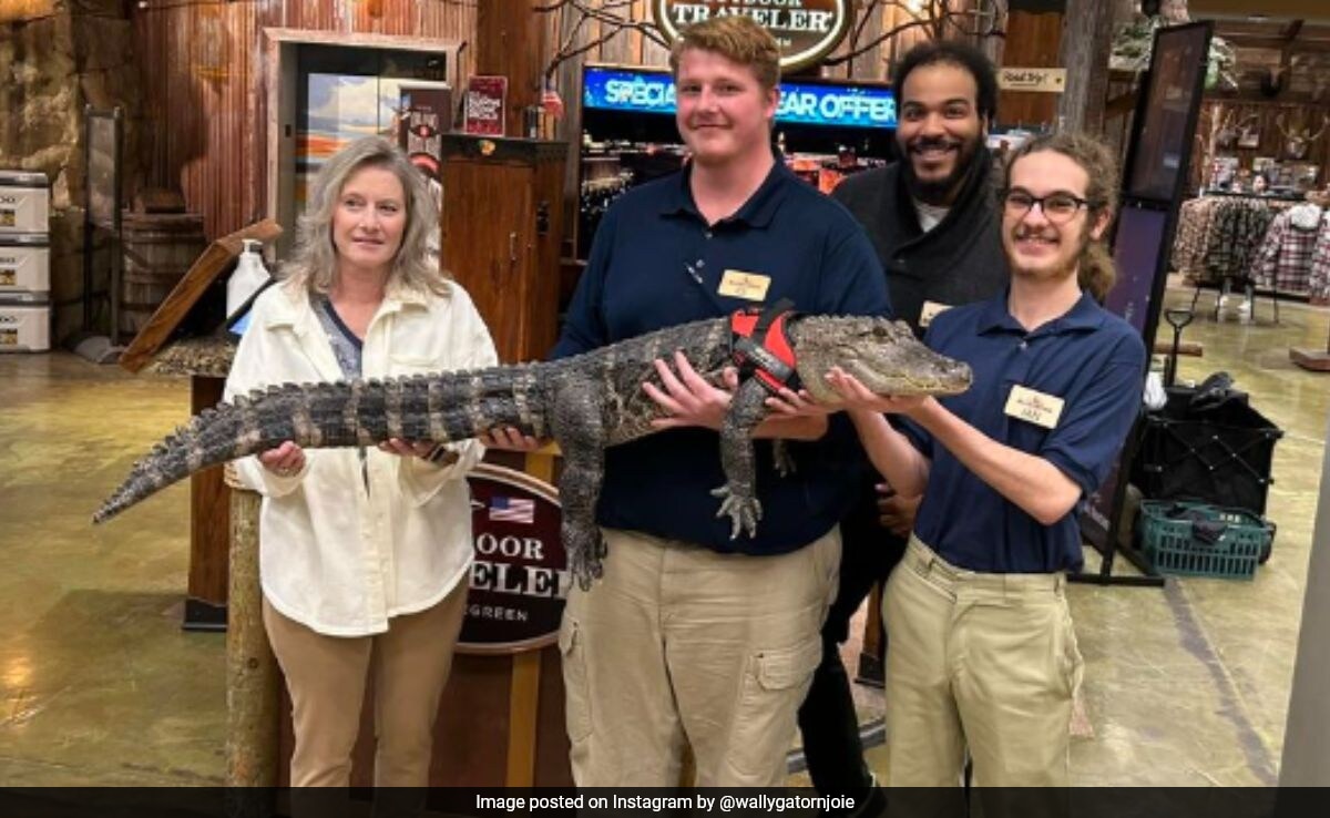 Where Is Wally The ‘Emotional Support Alligator’? Its Owner Answers