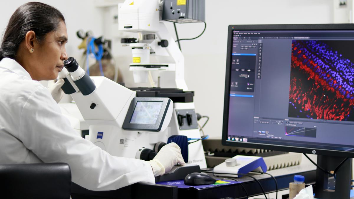 Indian scientists build breakthrough gene-editor, aim for patent