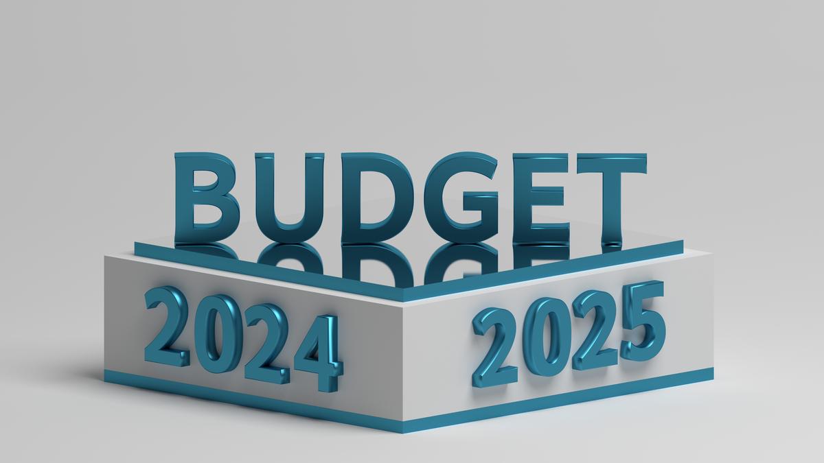 The Union Budget as litmus test of a rethink or stasis