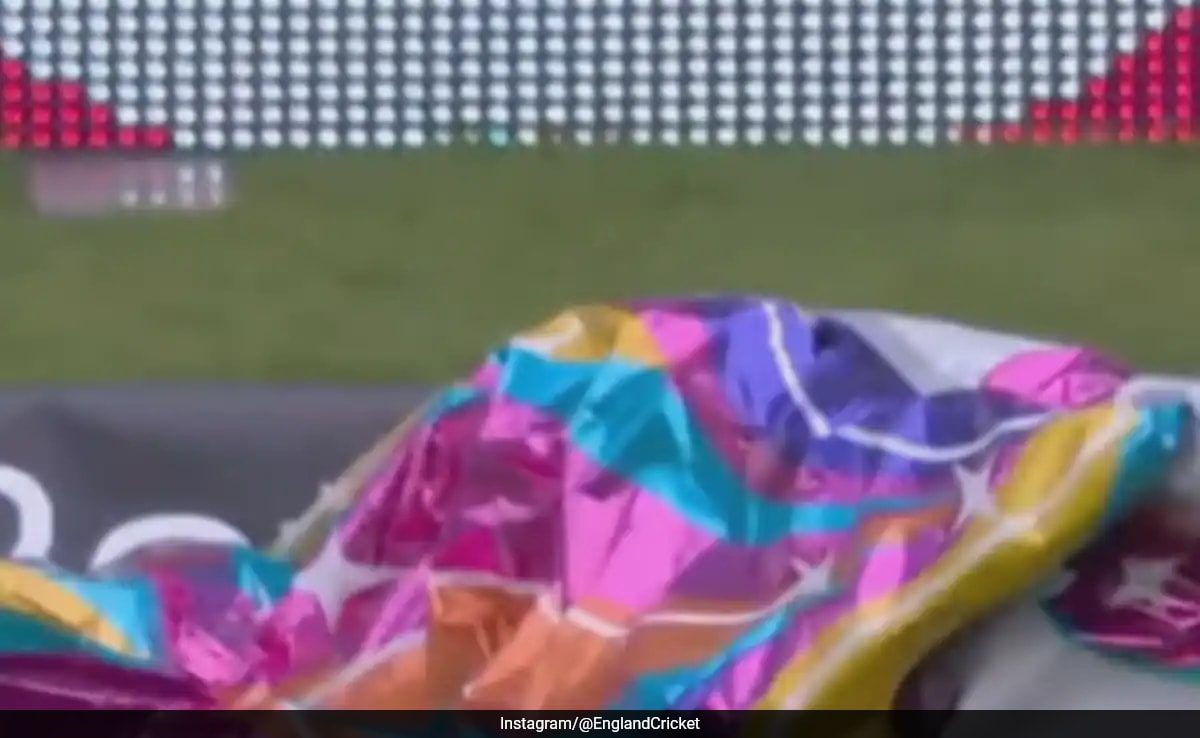 ‘Unicorn Balloon Stops Play’ In 2nd England vs West Indies Test, Crowd Reaction Is Pure Gold. Watch
