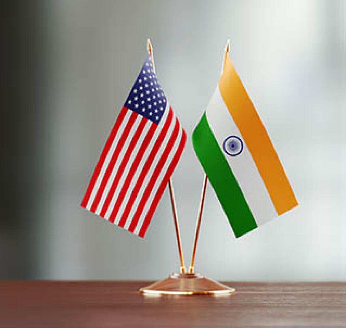 Watch: How significant is the Indian-American vote in the U.S?