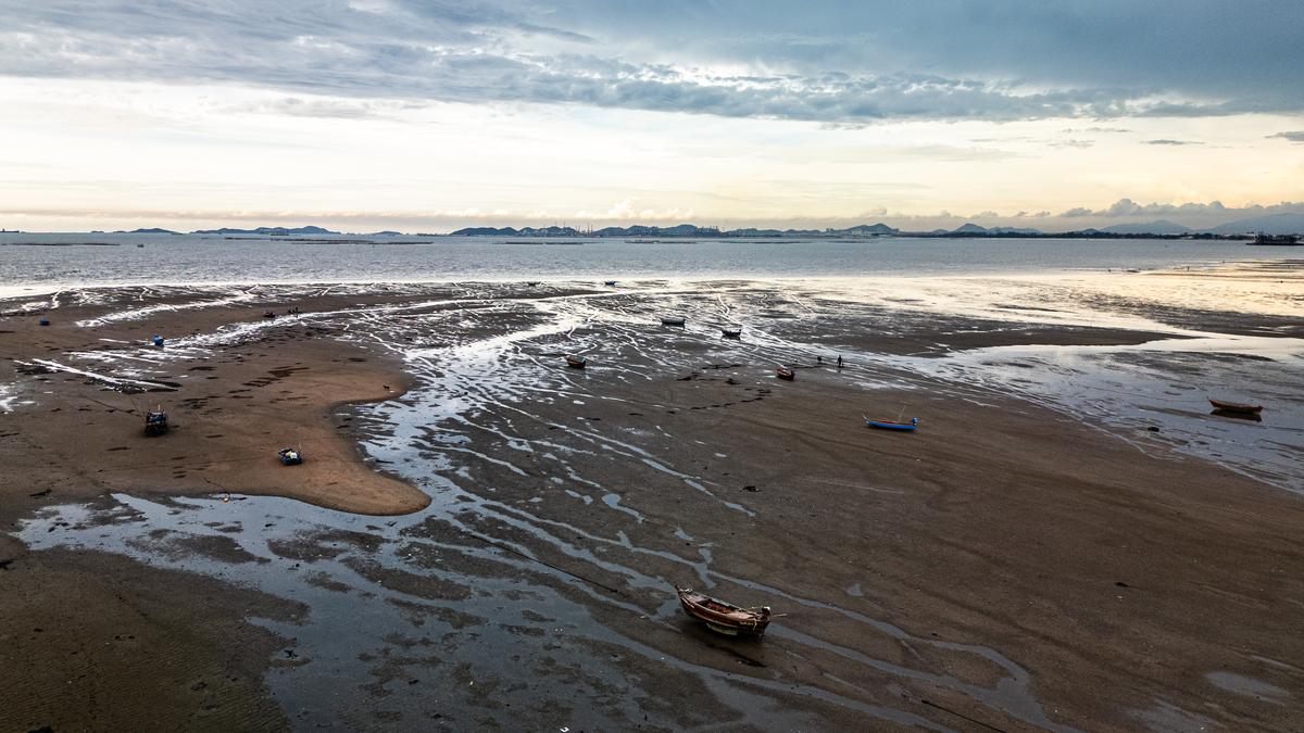 Evolution can change how an ecosystem collapses, study finds