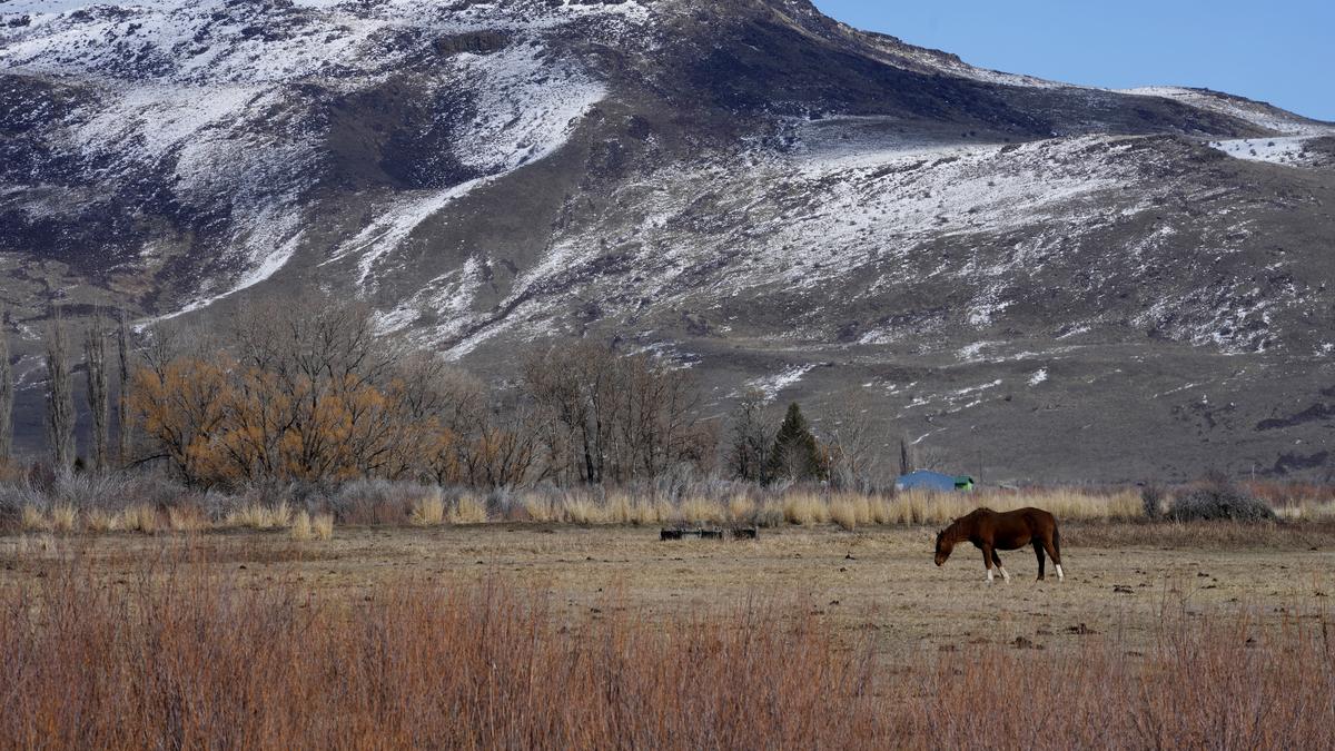 Research rewrites where, when humans first domesticated horses
