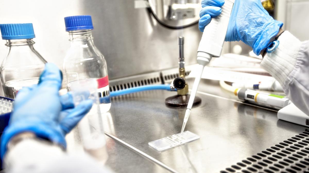 New science awards, old political project