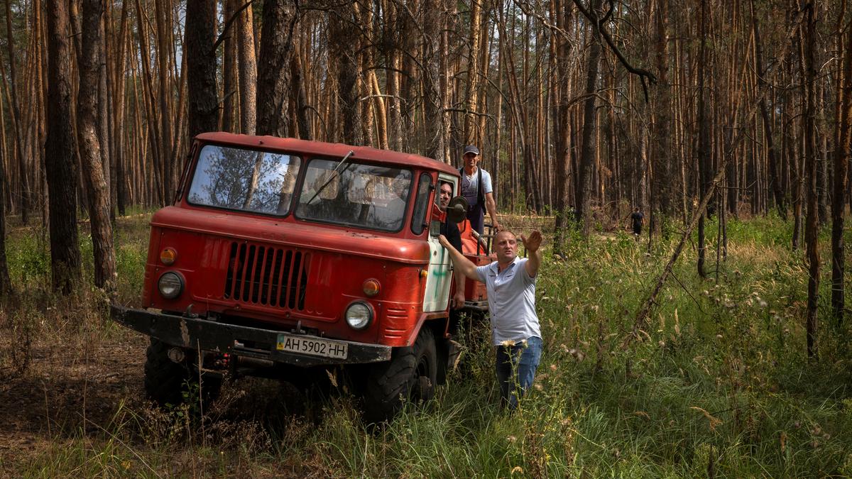 Ukraine’s vast forests devastated in hellscape of war