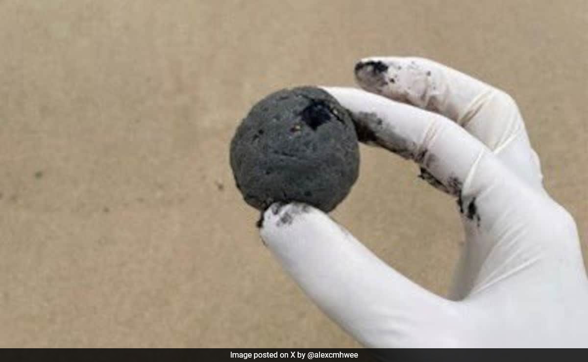 ‘Mysterious Black Balls’ Spotted At Sydney Beaches