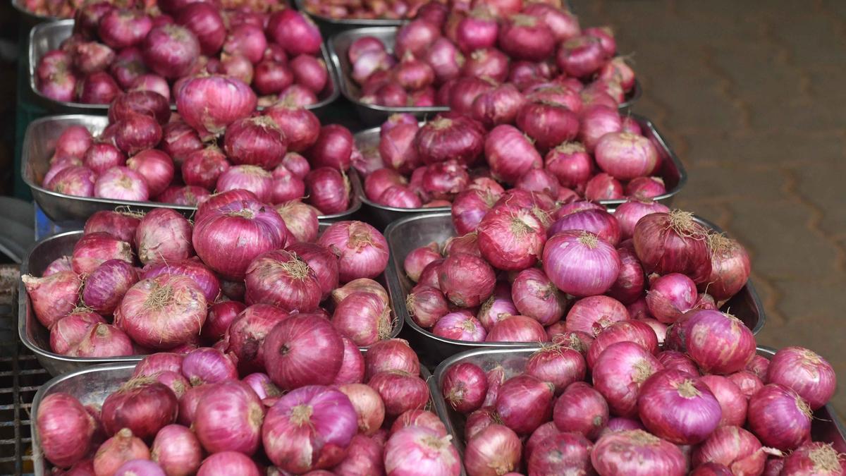 Centre sends train with 1,600 tonnes onions to Delhi to ease prices