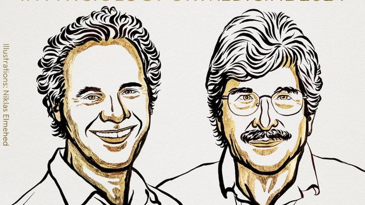 Medicine Nobel 2024 awarded to Victor Ambros and Gary Ruvkun