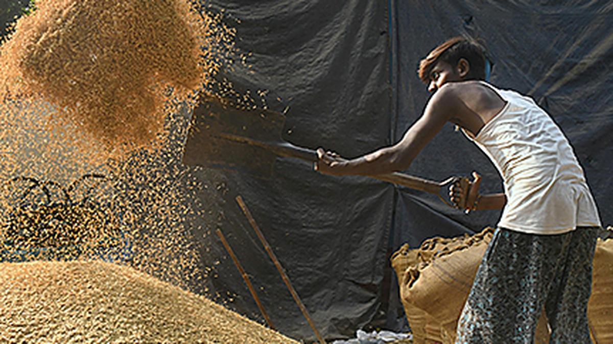 Union Cabinet approves hike in MSP for Rabi crops