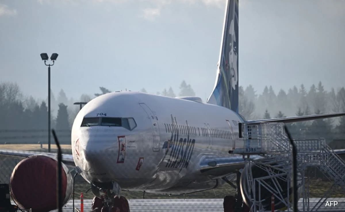 US Man Sues Alaska Airlines After His Dog Dies During Flight