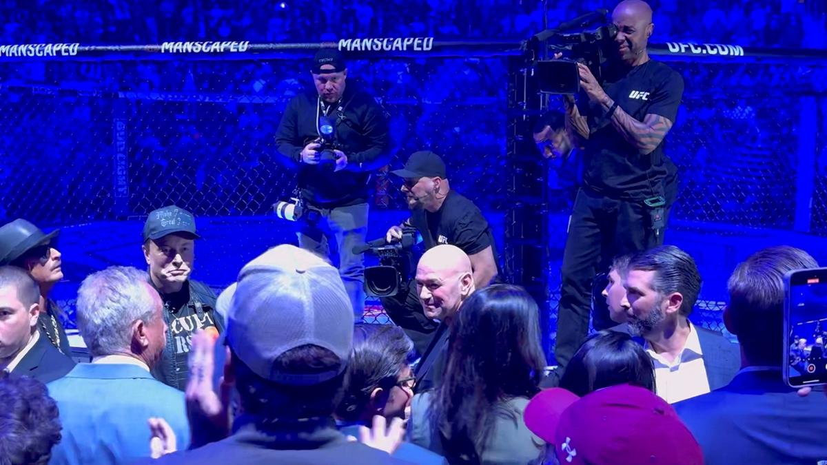Trump attends UFC championship fight in New York, taking a break from Cabinet picks