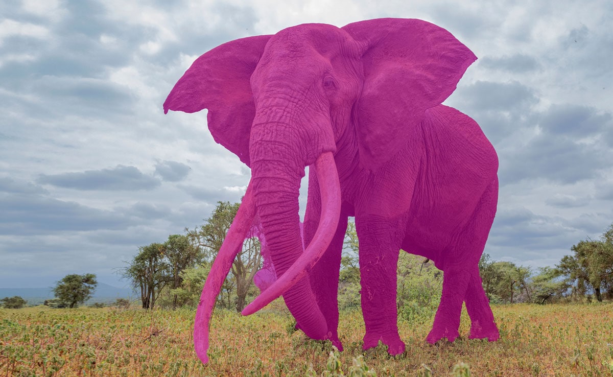 What The Pink Elephant Test Reveals About Your Ability To Control Thoughts