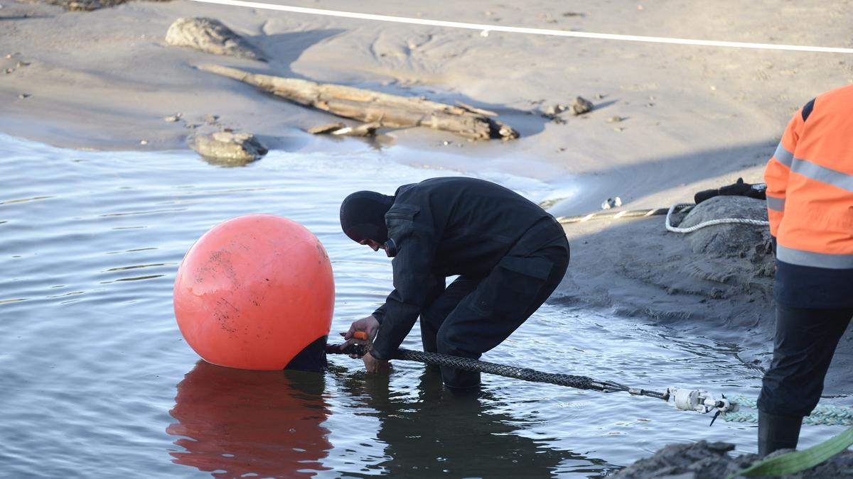 Second Baltic Sea telecom cable damaged: Sweden