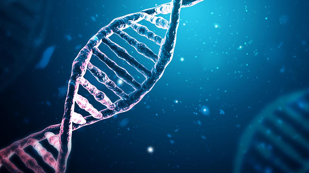 If 23andMe goes bust, what happens to its DNA database?