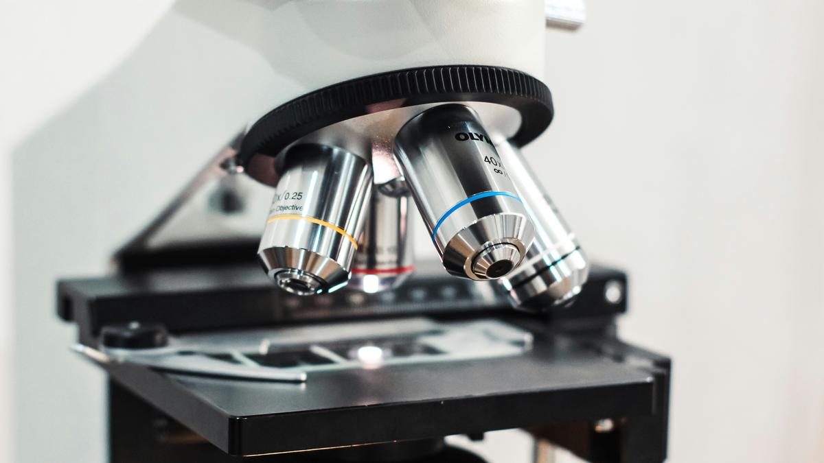 Why can’t light microscopes see inside cells?