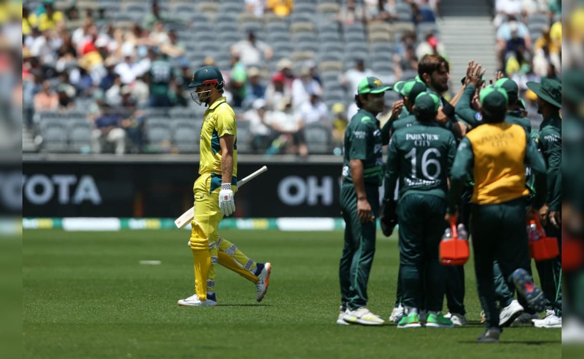 Tim Paine ‘Annoyed’ With Australia’s Criticism Over ODI Series Loss To Pakistan