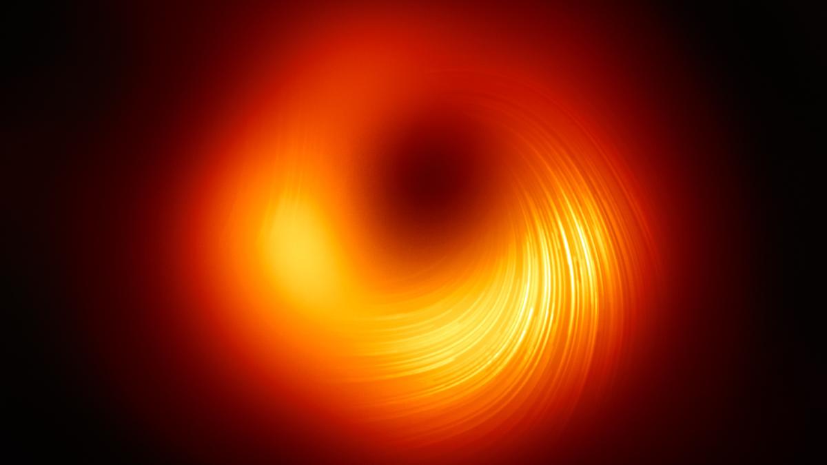 Can we make black holes reveal themselves in echoes of light?