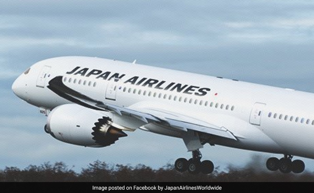 Japan Airlines Hit By Cyberattack, Domestic, International Flights Delayed