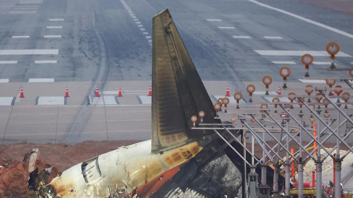 Jeju airplane crash: South Korean airport embankment in focus after deadly crash