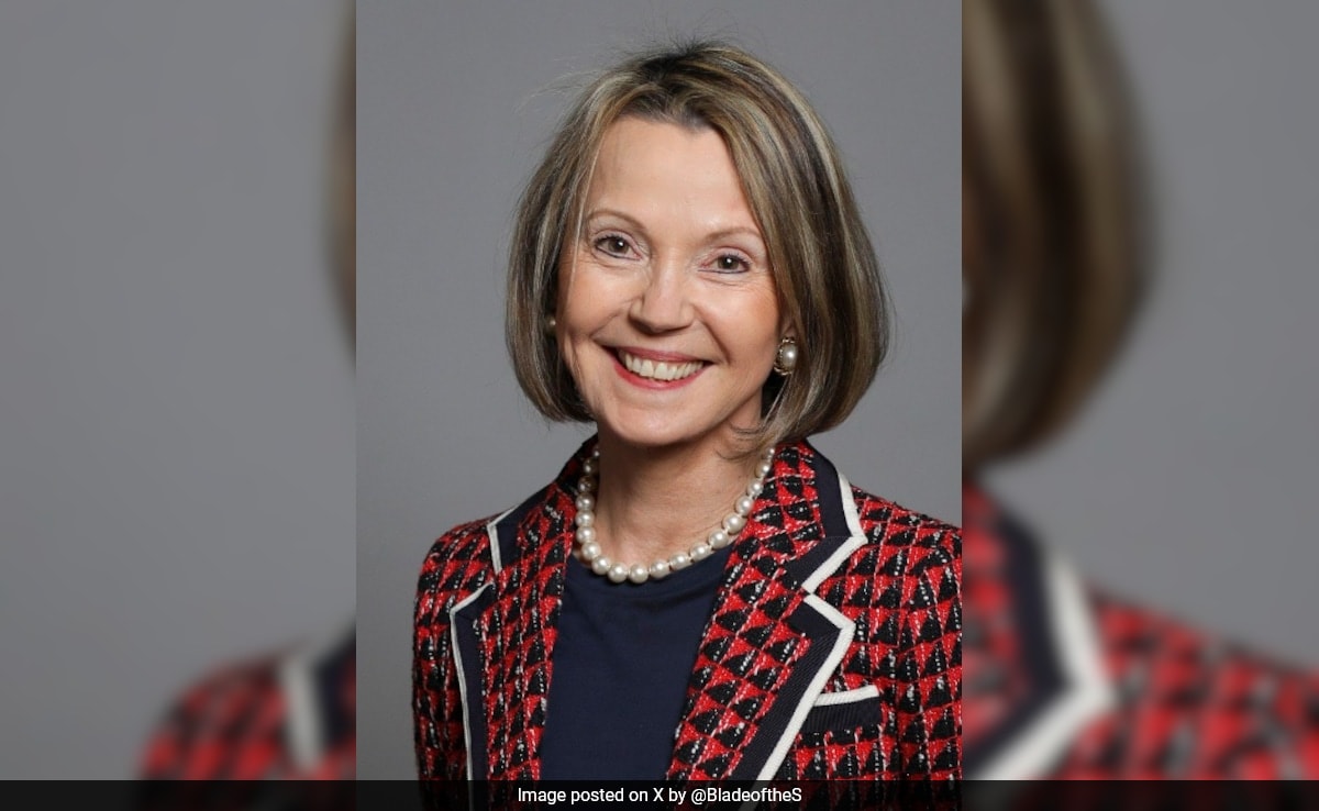 UK Peer Faces Suspension For Racist Remark Against Indian-Origin Colleague