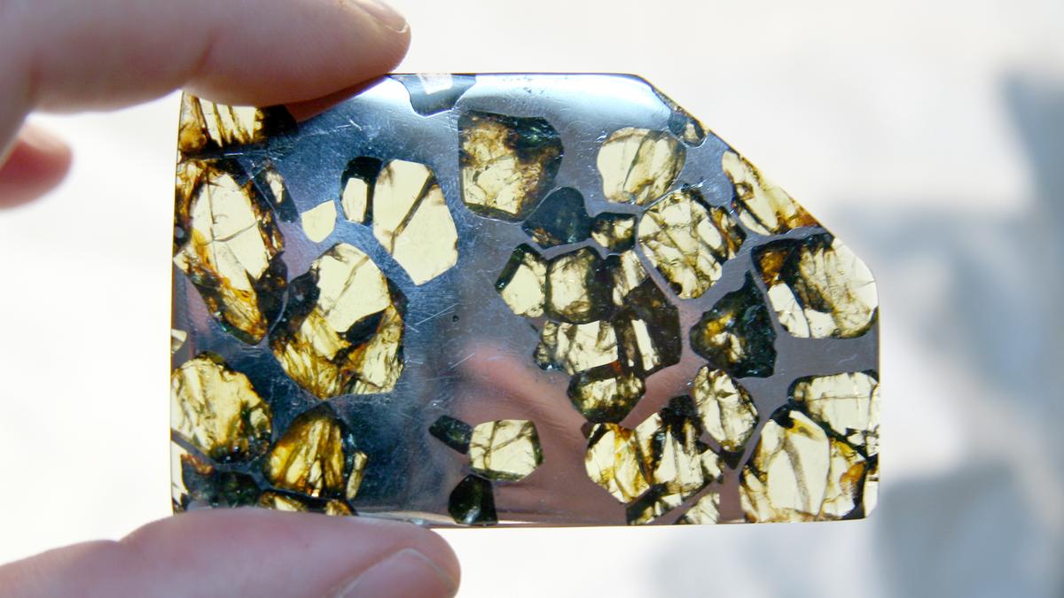 How scientists are exploring what extraterrestrial life could look like