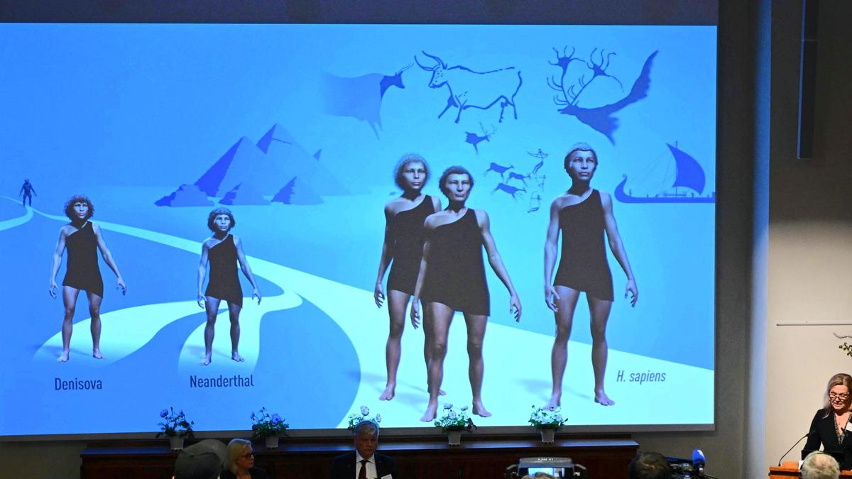 Science for all | Footprints of two ancient hominin species found at the same spot in Kenya