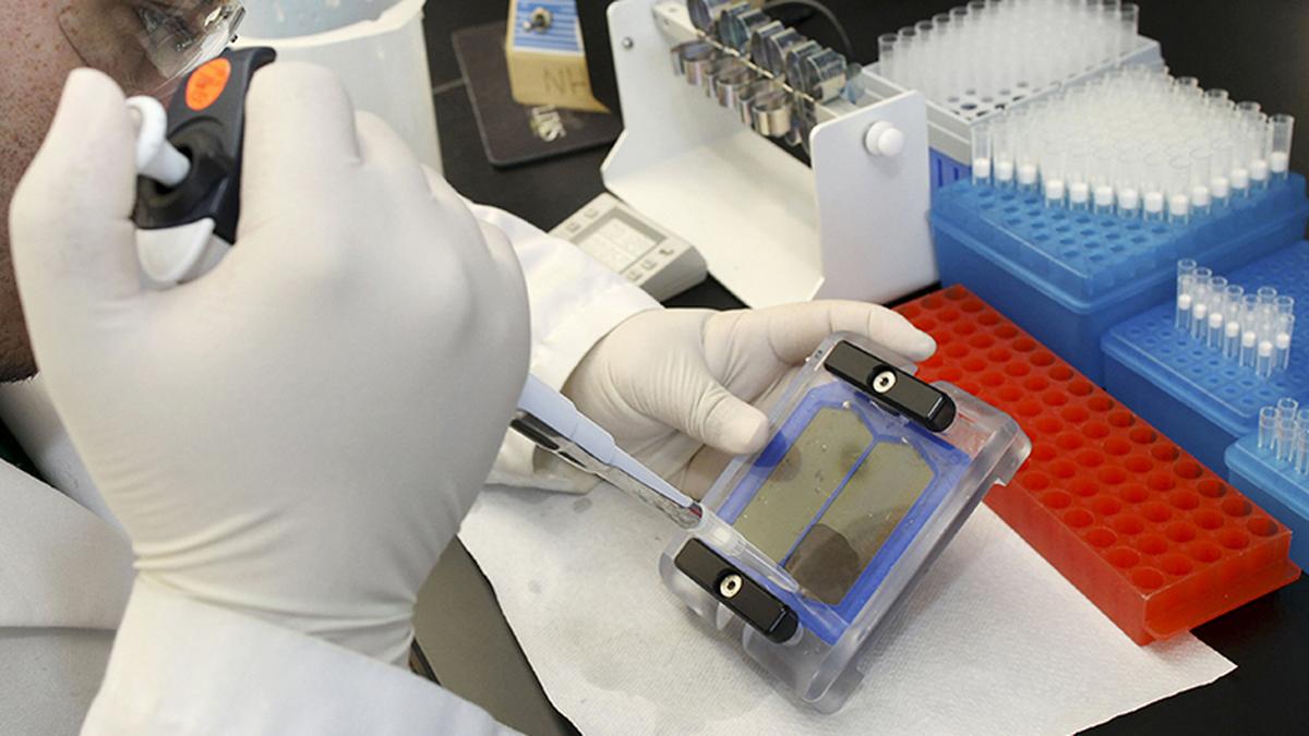 When a DNA analysis reveals a closely guarded family secret…