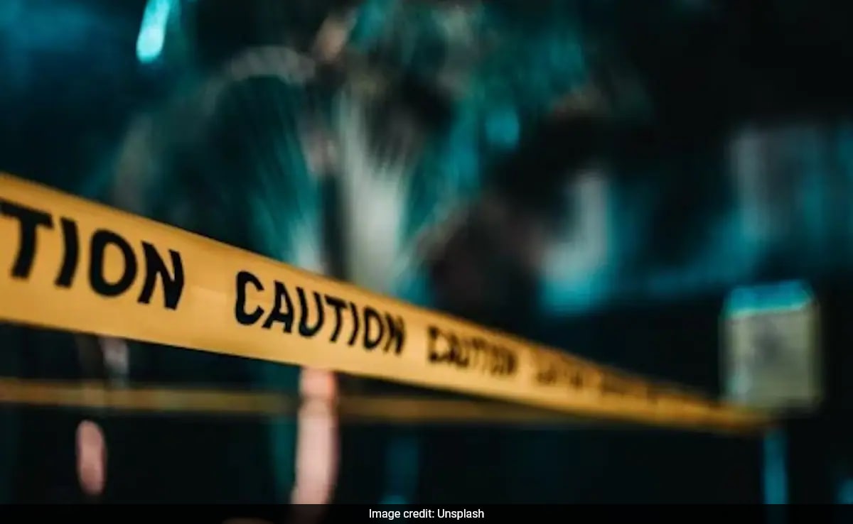 2-Year-Old Boy In US Accidentally Shoots And Kills Mother With Unsecured Gun: Police