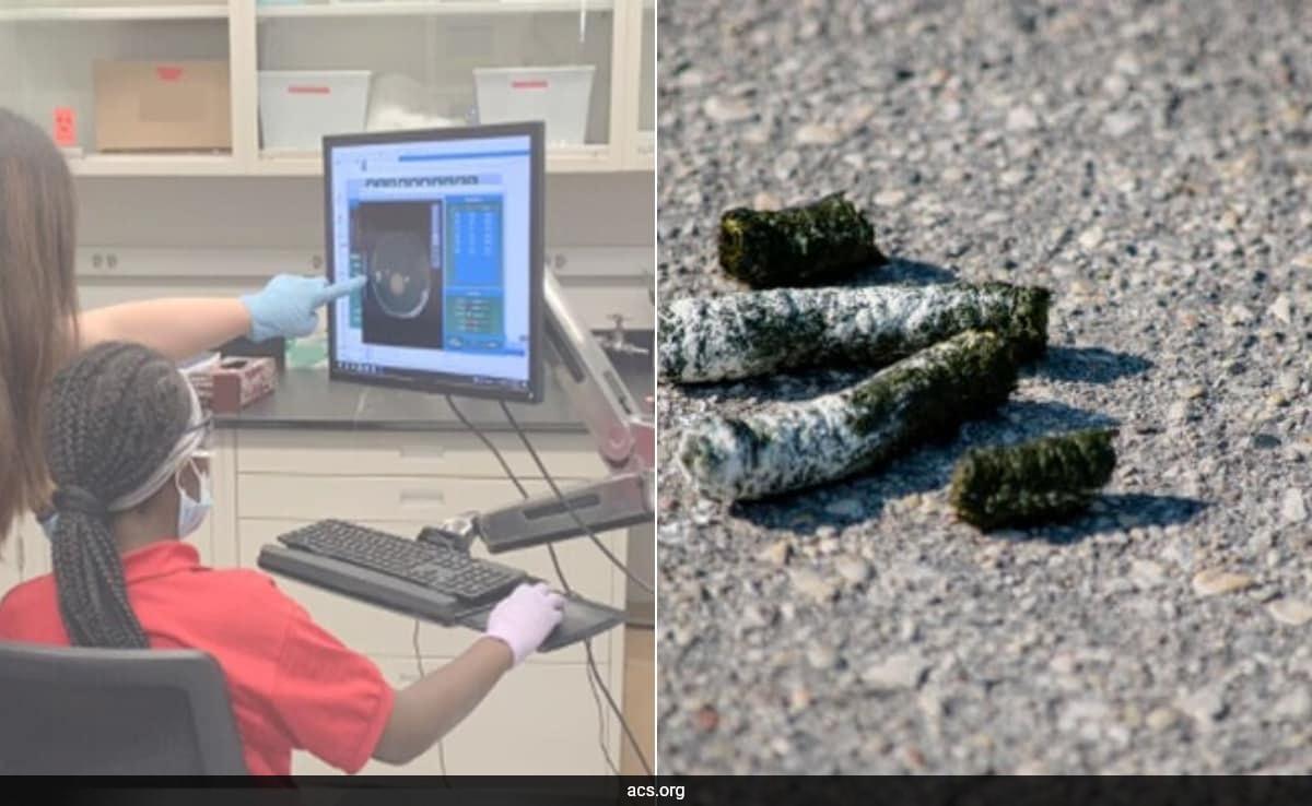 Student’s Science Project With Bird Poop Leads To Discovery Of Cancer-Fighting Compound