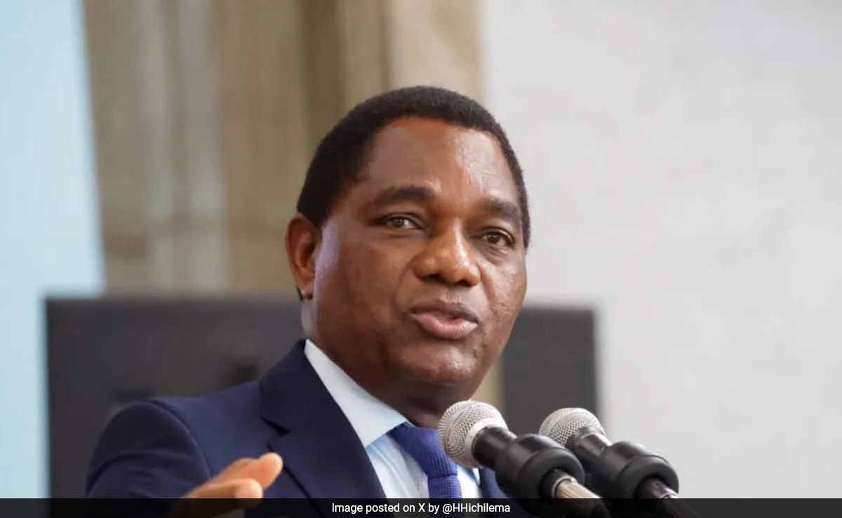 2 Arrested With Live Chameleon For ‘Sorcery’ Plan Against Zambia President