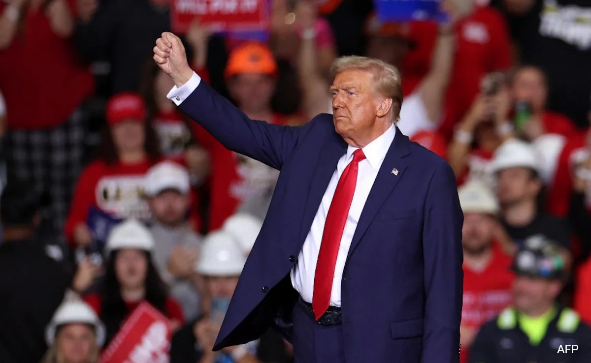 Donald Trump Says Will Delay TikTok Ban, Proposes US Part-Ownership