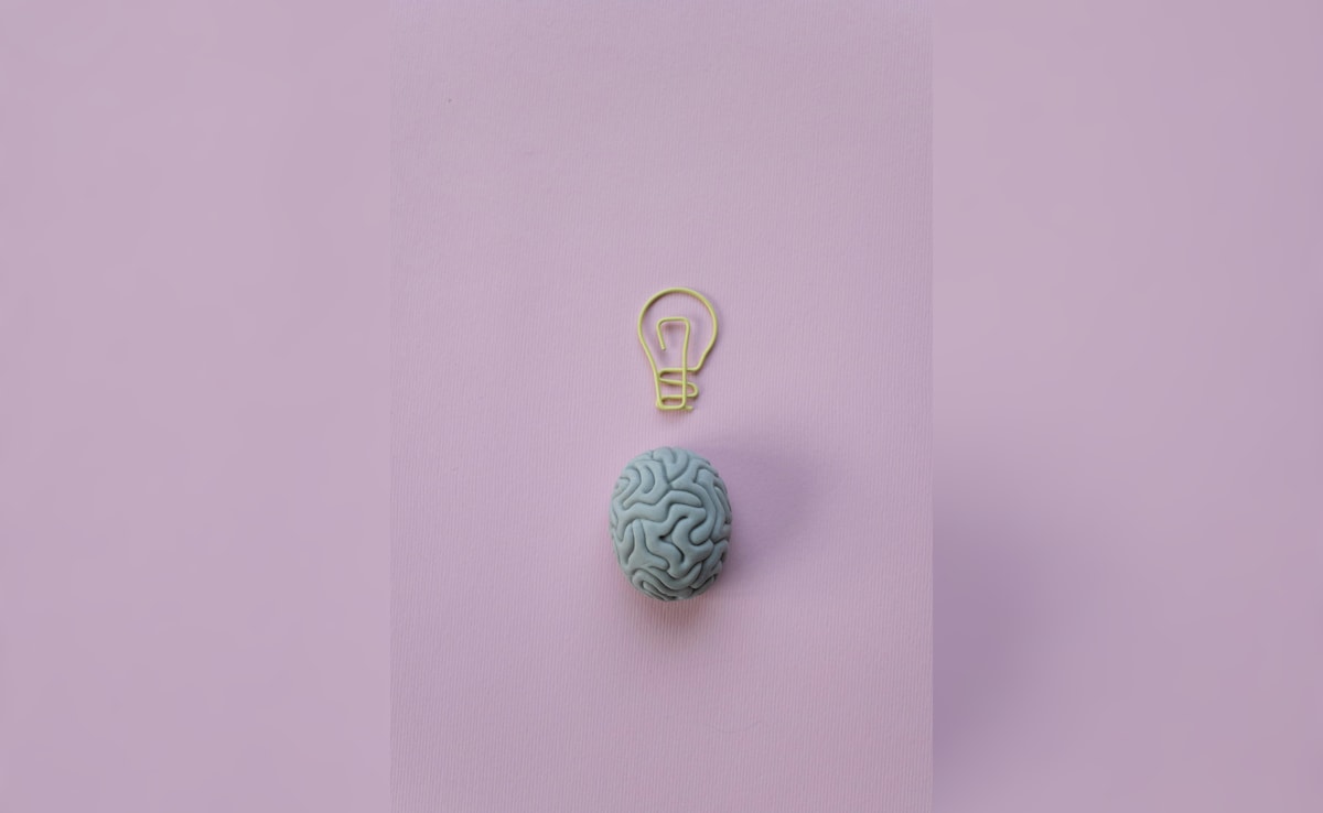 Brain Ageing Could Be Fault Of Mothers, Study Suggests