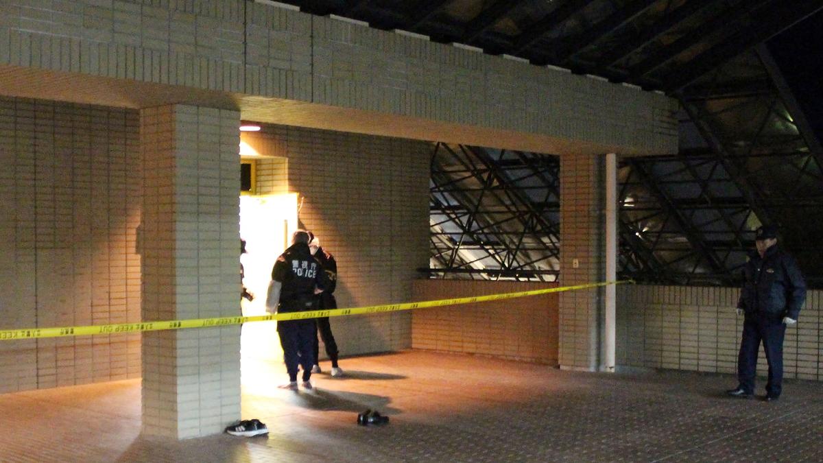 Hammer attacker wounds 8 at Japanese university: media