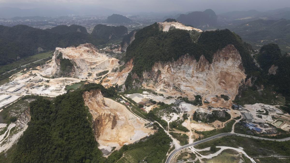 Malaysia says EU deforestation law presents challenges, opportunities for palm industry  