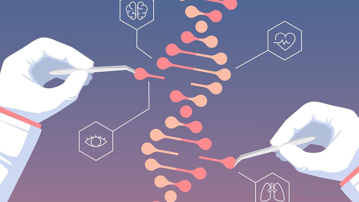 Putting the gene editing tool to use