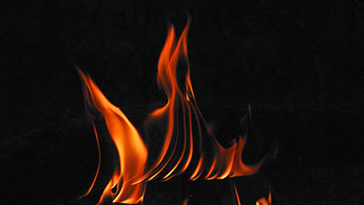 Hundreds of animals killed in Dallas shopping center fire