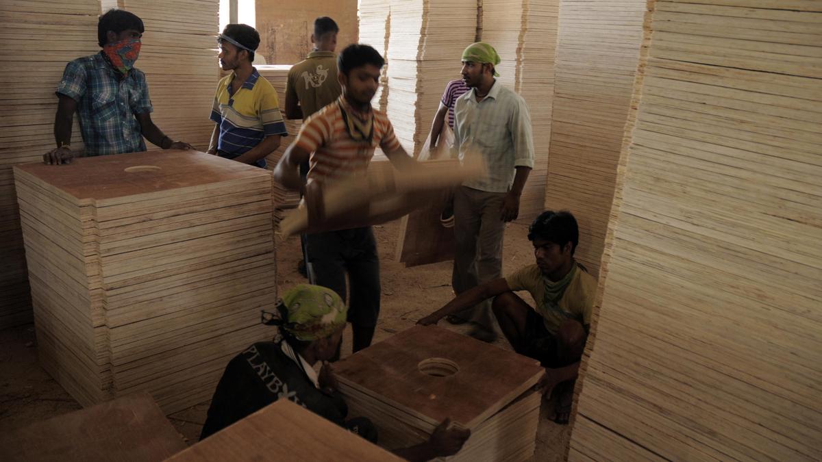 Govt push for quality: Industry embraces QCO on plywood, MDF boards after initial resistance